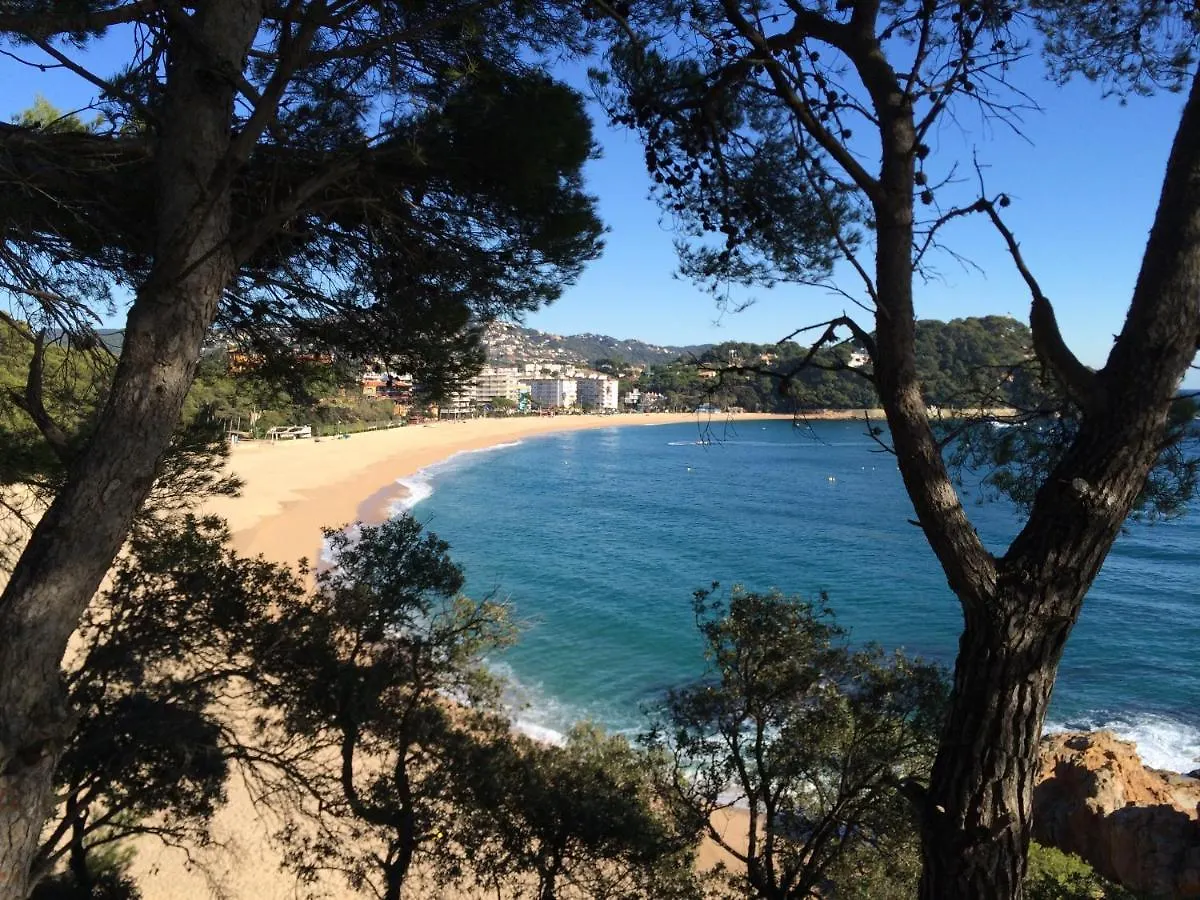 Apartment Traumhafte Wohnung Mit Meerblick In Schoener Umgebung Lloret de Mar Spain
